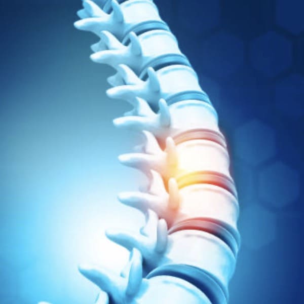 COLUMNA VERTEBRAL